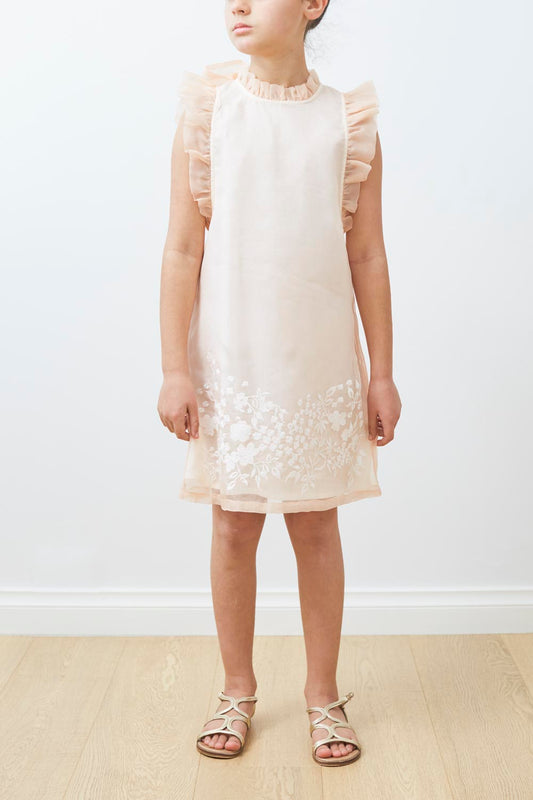 Embroidered Organza Dress